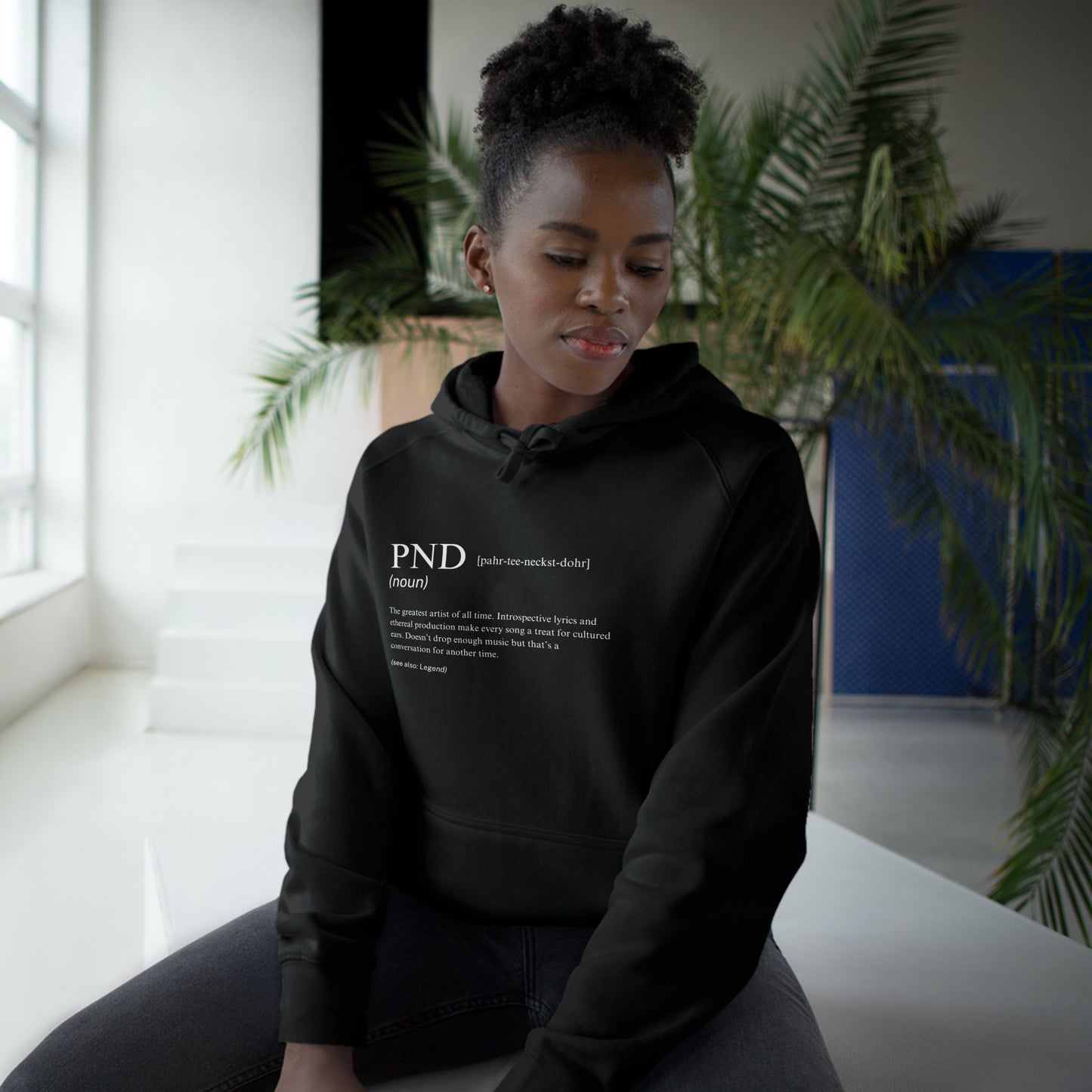 pnd dictionary hoodie